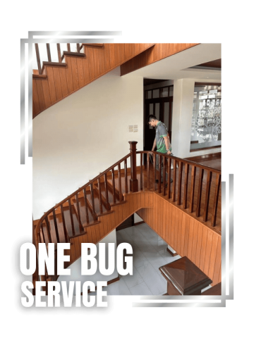 กำจัดปลวกและแมลง นนทบุรี (2)